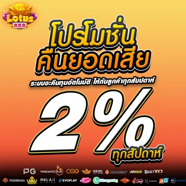 โปรโมชั่น VIP